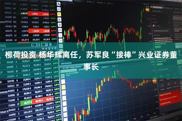 柳荷投资 杨华辉离任，苏军良“接棒”兴业证券董事长