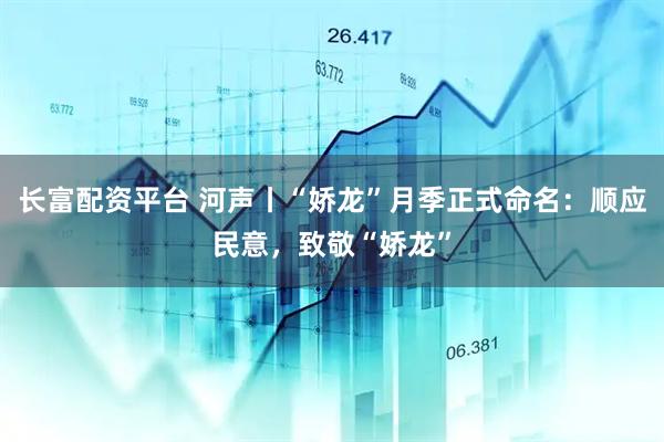 长富配资平台 河声丨“娇龙”月季正式命名：顺应民意，致敬“娇龙”