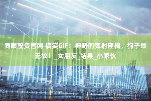 同顺配资官网 搞笑GIF：神奇的弹射座椅，狗子最无故！_女朋友_结果_小家伙